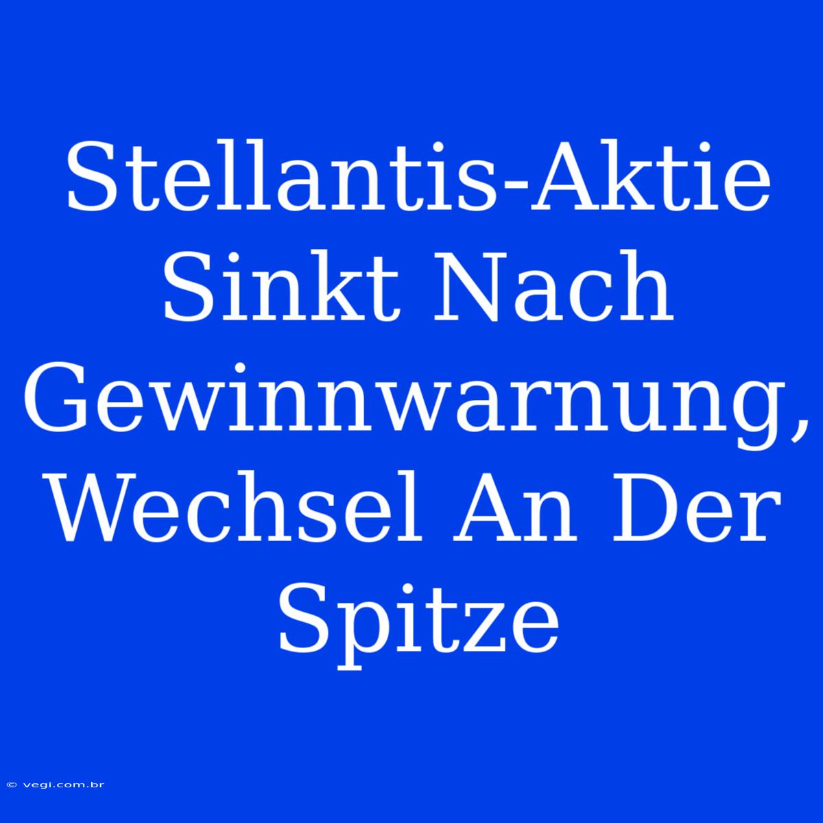 Stellantis-Aktie Sinkt Nach Gewinnwarnung, Wechsel An Der Spitze