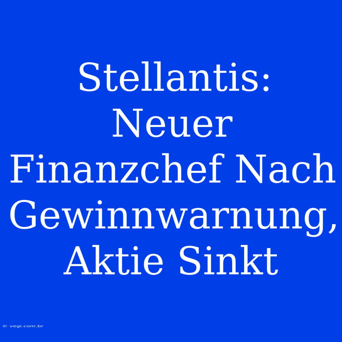 Stellantis: Neuer Finanzchef Nach Gewinnwarnung, Aktie Sinkt