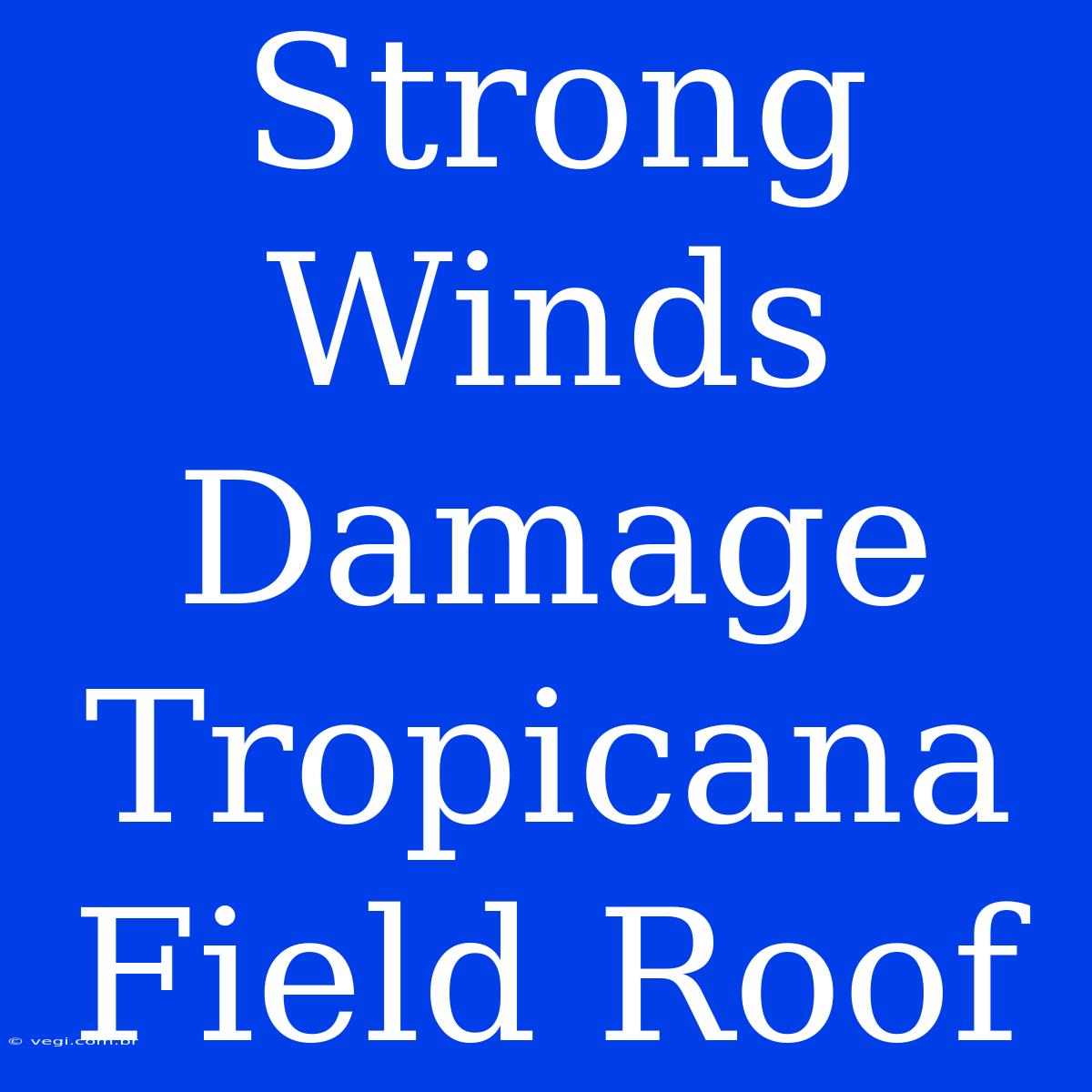 Strong Winds Damage Tropicana Field Roof