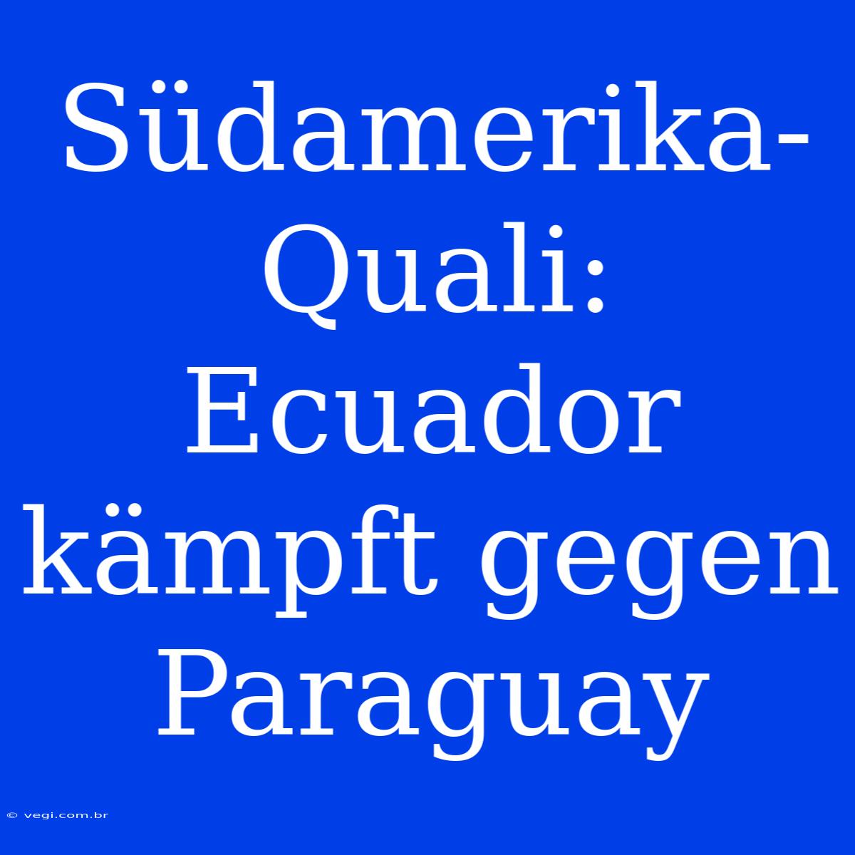 Südamerika-Quali: Ecuador Kämpft Gegen Paraguay