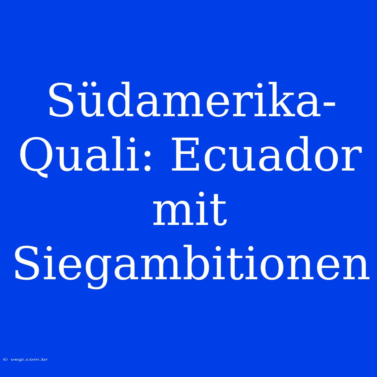 Südamerika-Quali: Ecuador Mit Siegambitionen