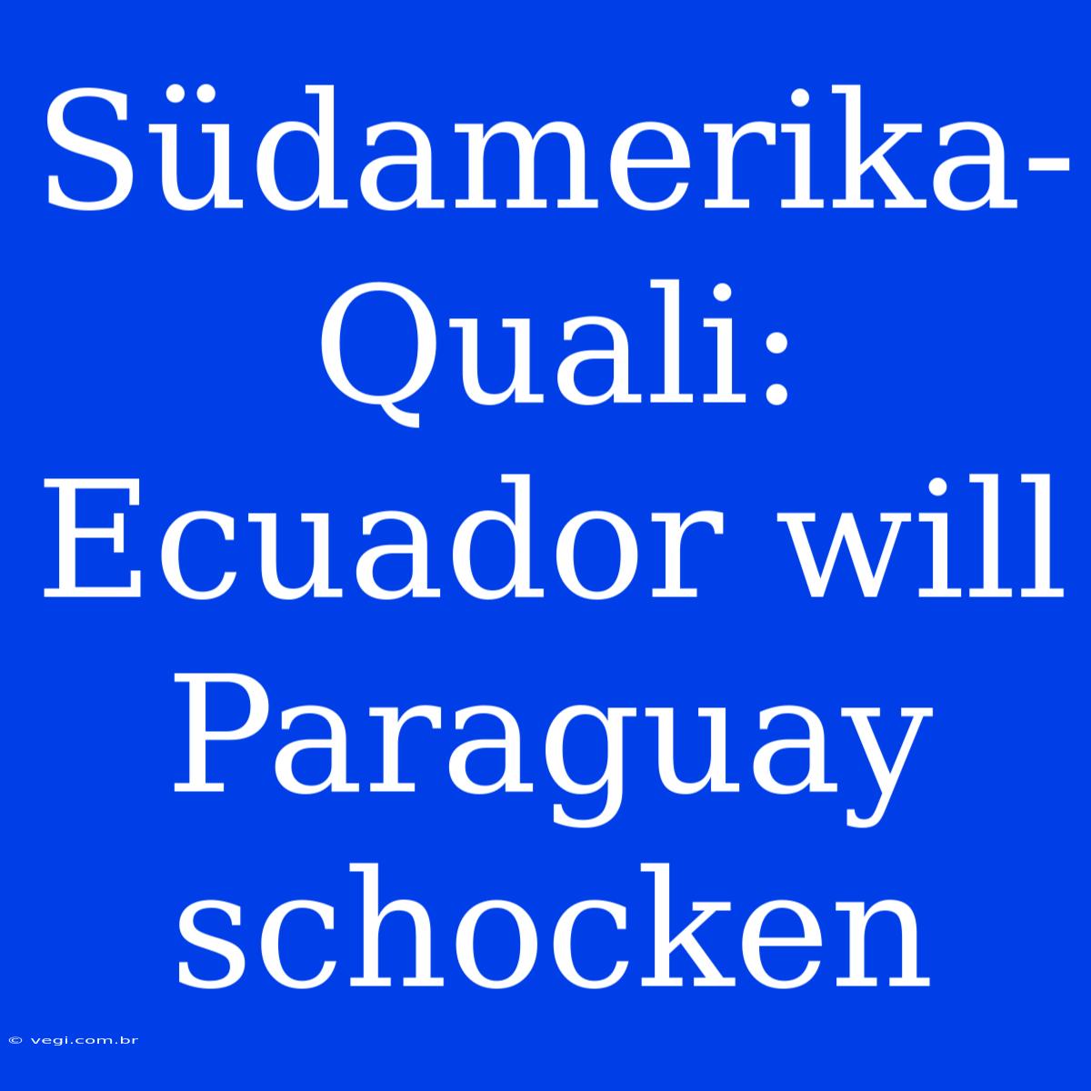 Südamerika-Quali: Ecuador Will Paraguay Schocken