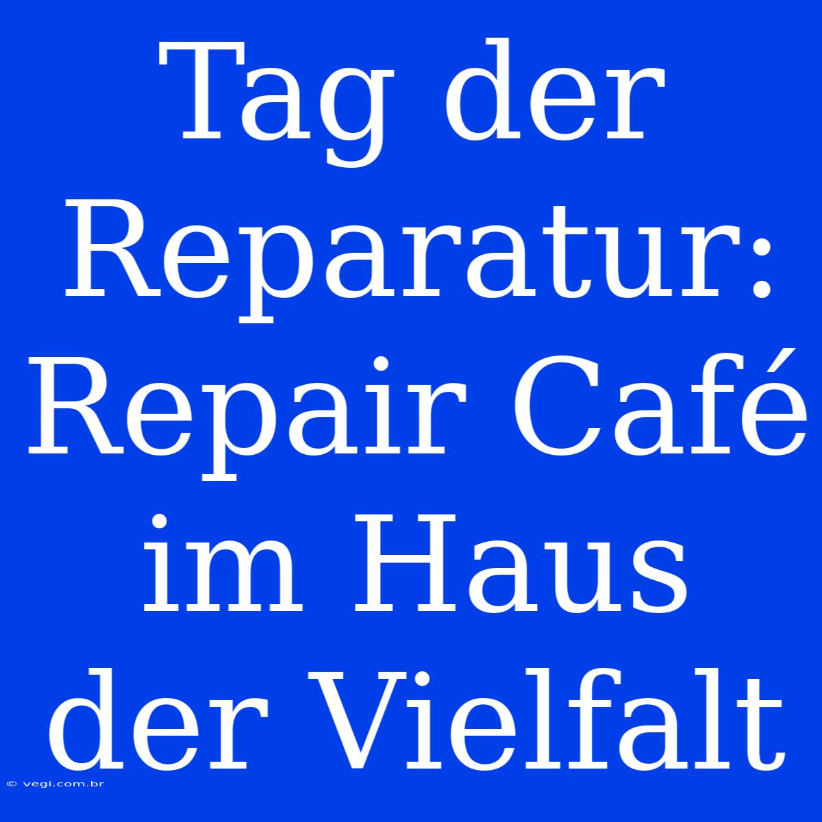 Tag Der Reparatur: Repair Café Im Haus Der Vielfalt