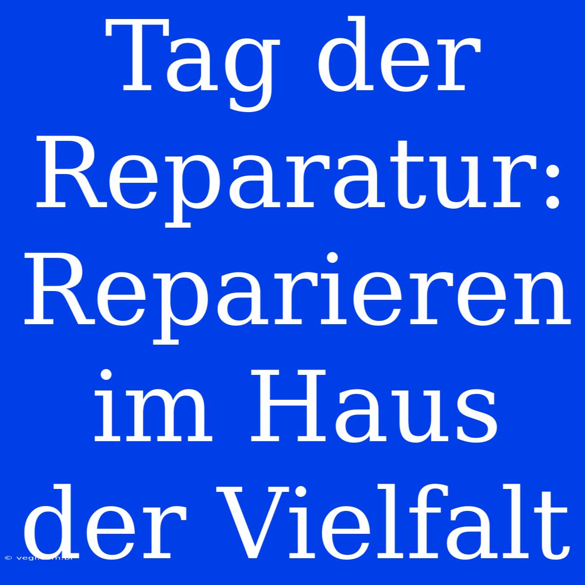 Tag Der Reparatur: Reparieren Im Haus Der Vielfalt