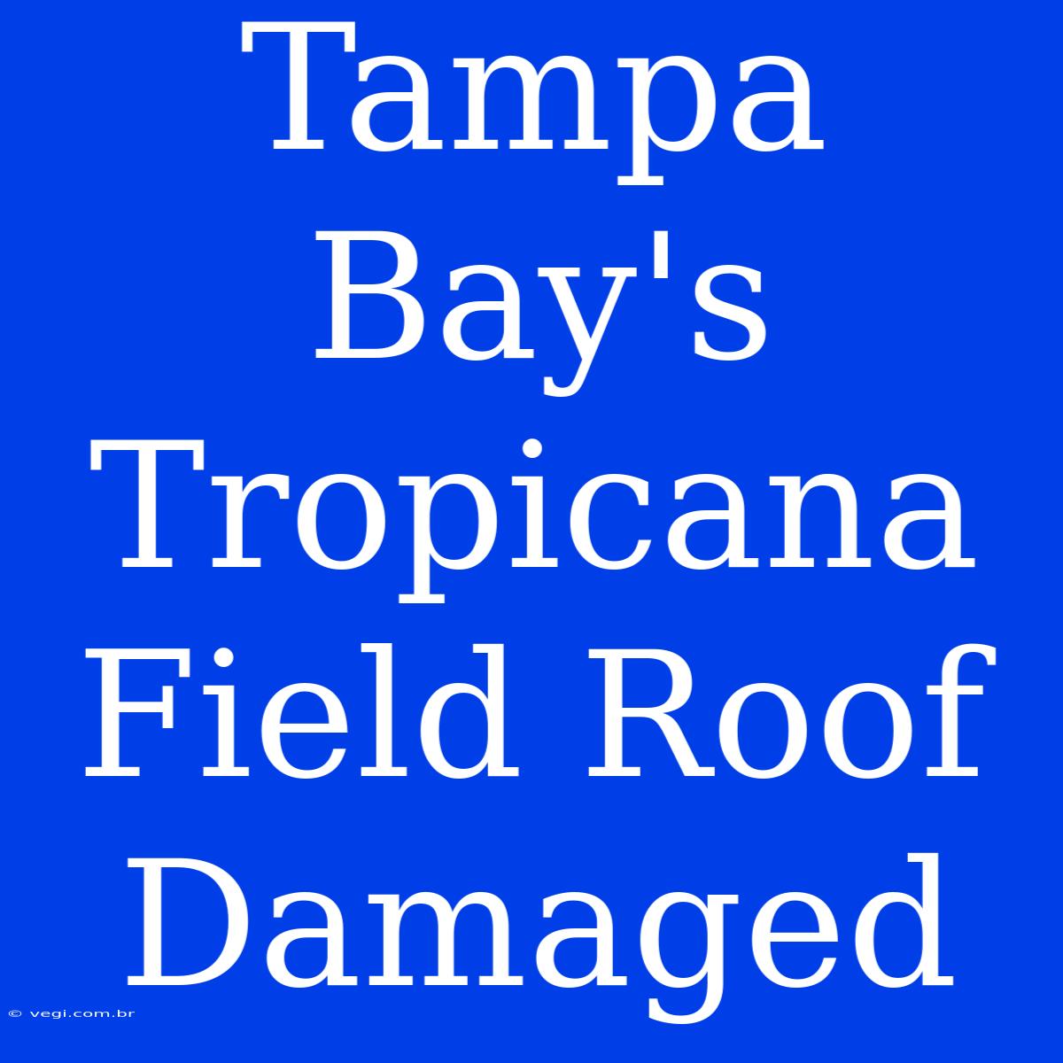 Tampa Bay's Tropicana Field Roof Damaged