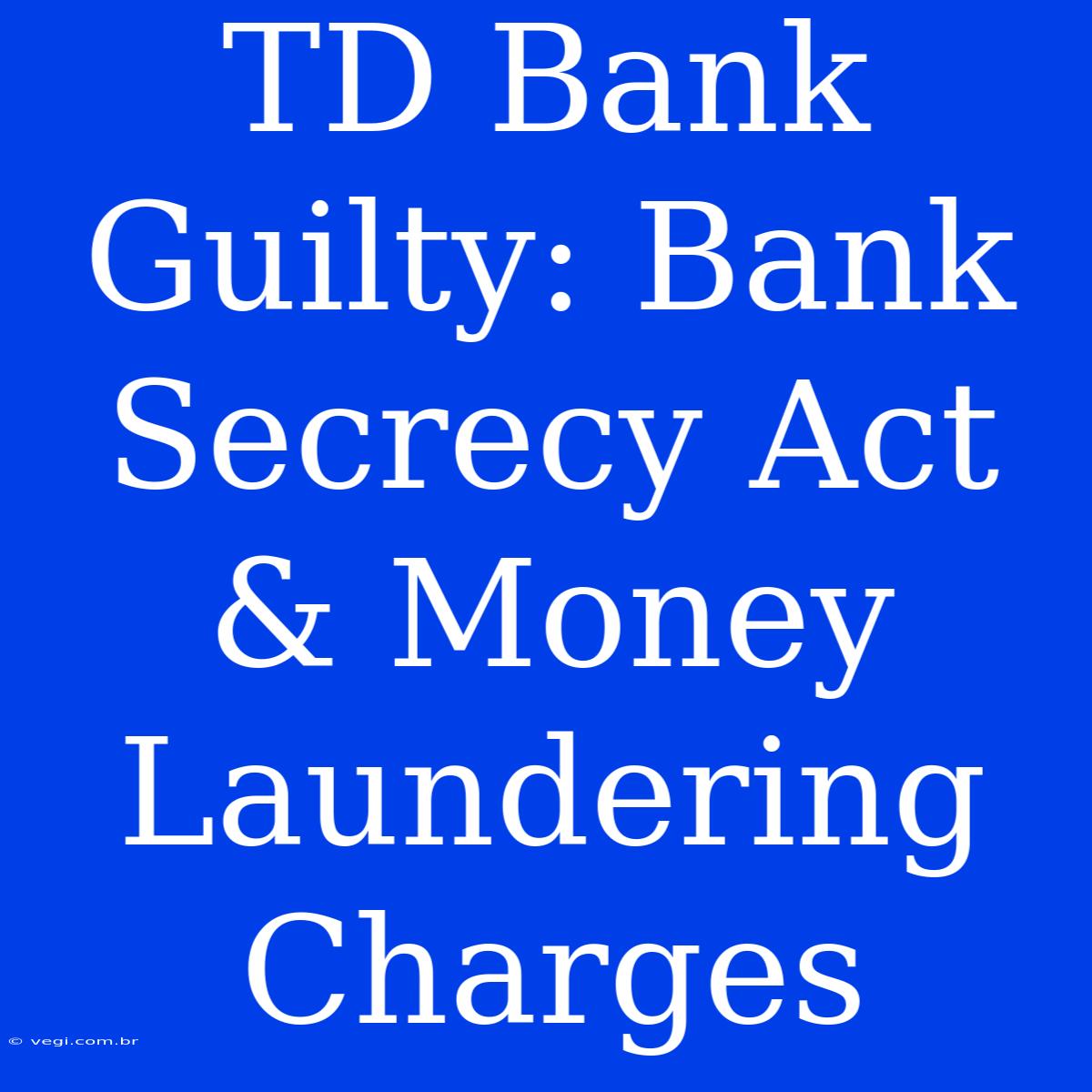 TD Bank Guilty: Bank Secrecy Act & Money Laundering Charges