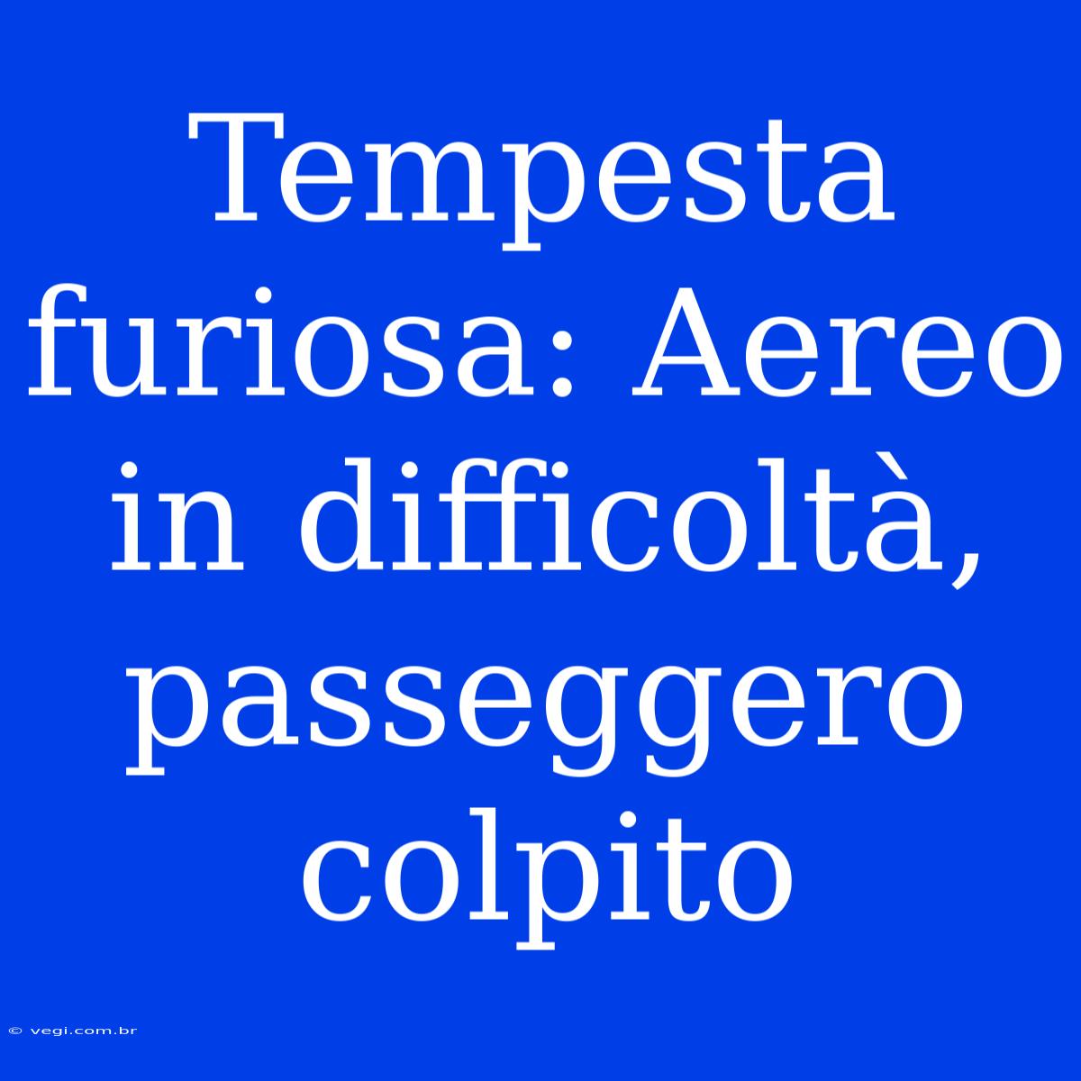 Tempesta Furiosa: Aereo In Difficoltà, Passeggero Colpito