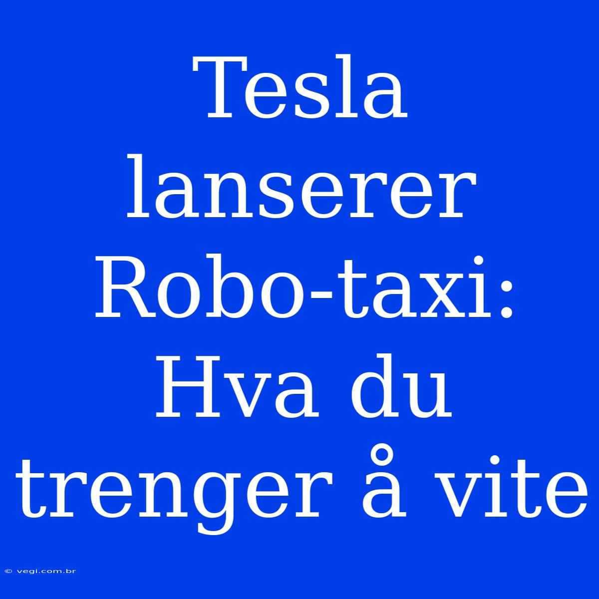 Tesla Lanserer Robo-taxi: Hva Du Trenger Å Vite