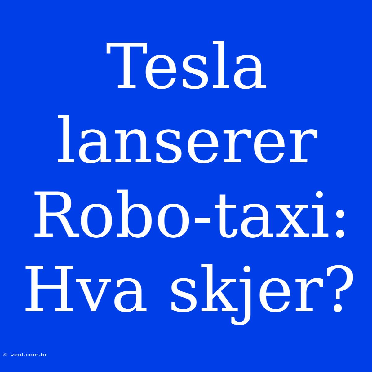 Tesla Lanserer Robo-taxi: Hva Skjer?