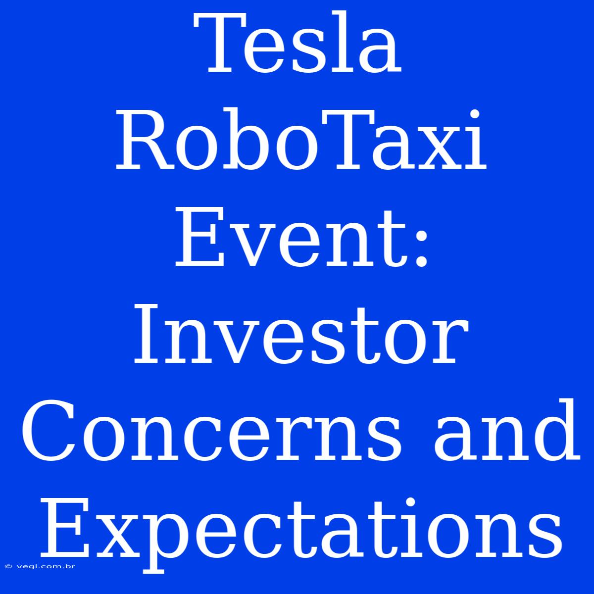 Tesla RoboTaxi Event: Investor Concerns And Expectations