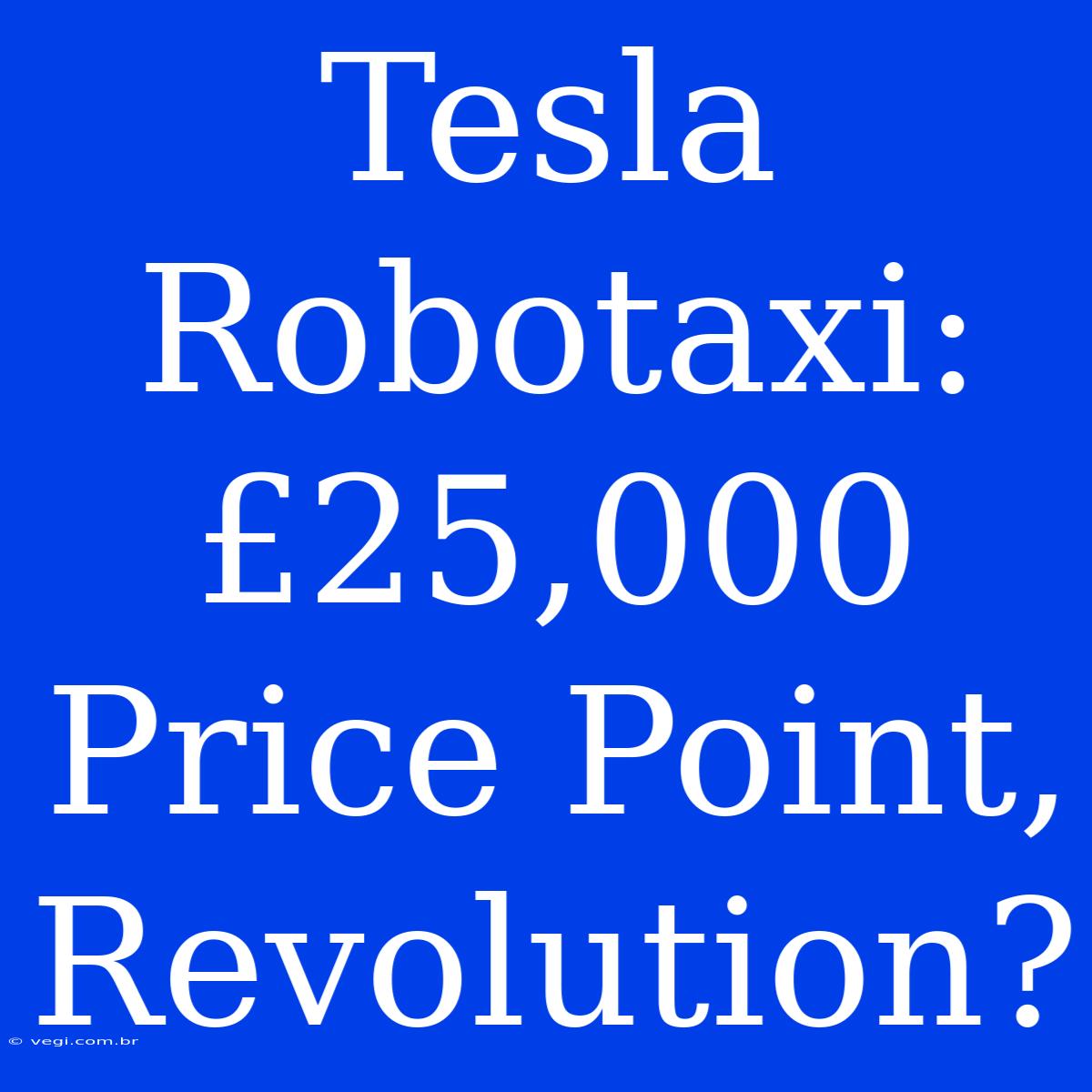 Tesla Robotaxi:  £25,000 Price Point, Revolution?