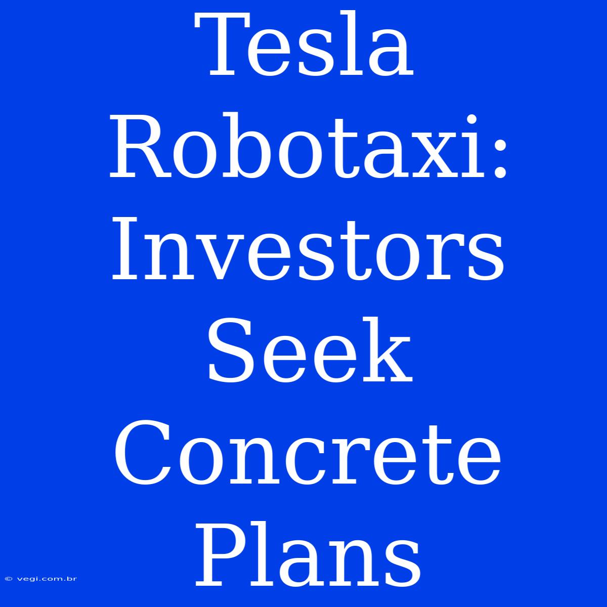 Tesla Robotaxi: Investors Seek Concrete Plans