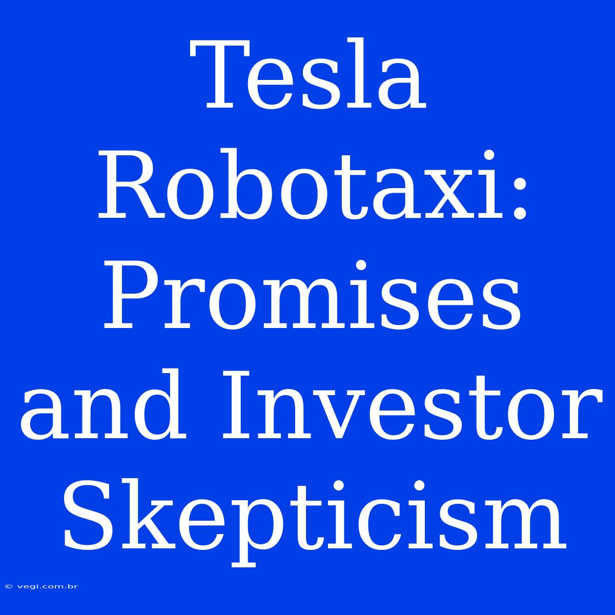 Tesla Robotaxi: Promises And Investor Skepticism