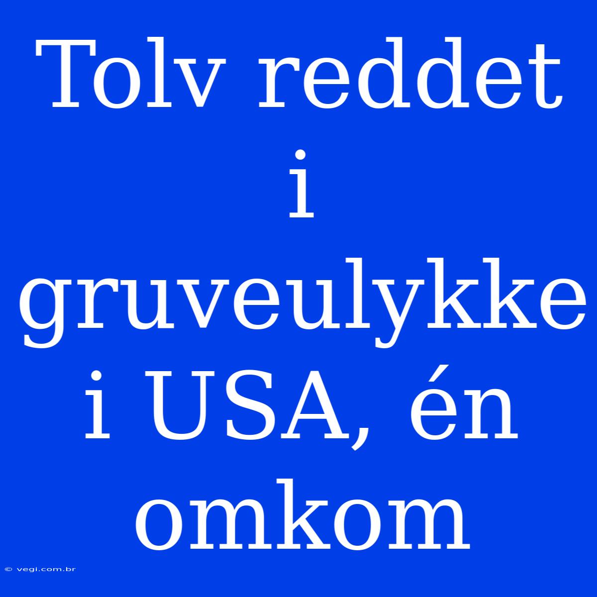 Tolv Reddet I Gruveulykke I USA, Én Omkom