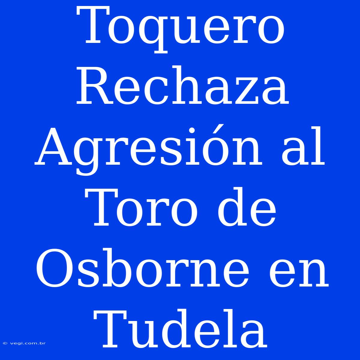 Toquero Rechaza Agresión Al Toro De Osborne En Tudela 