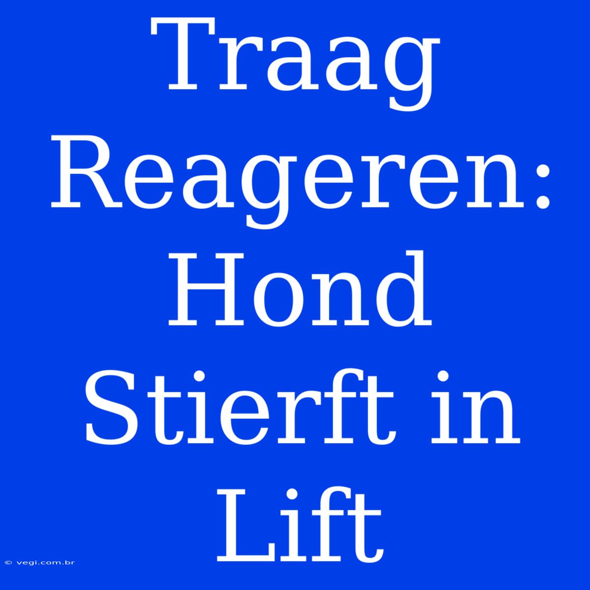 Traag Reageren: Hond Stierft In Lift