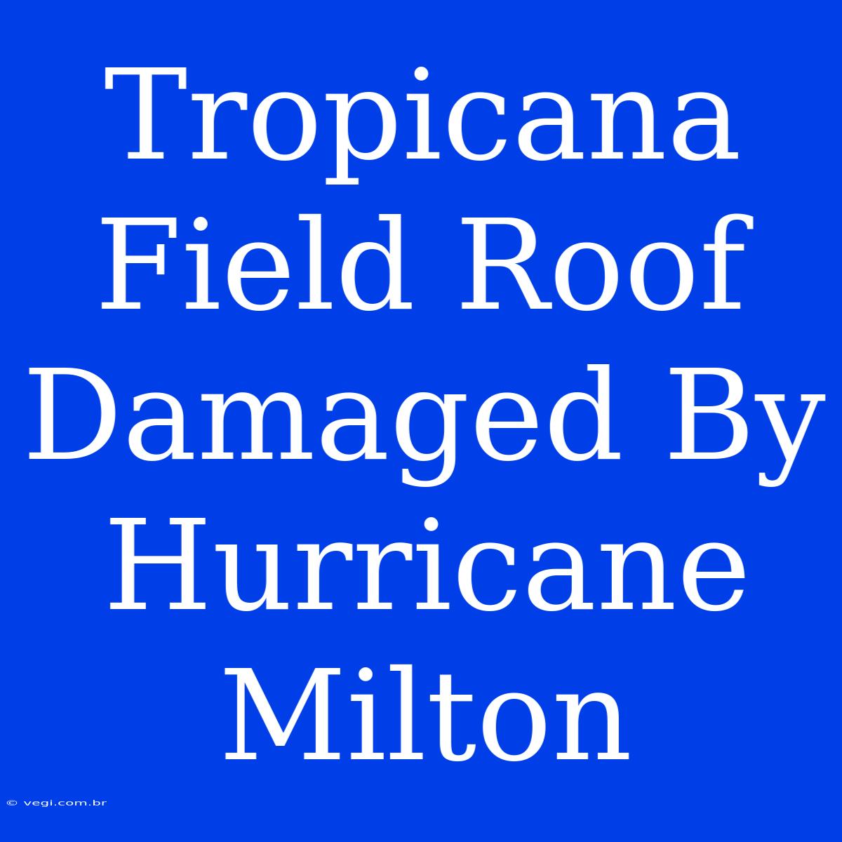 Tropicana Field Roof Damaged By Hurricane Milton 