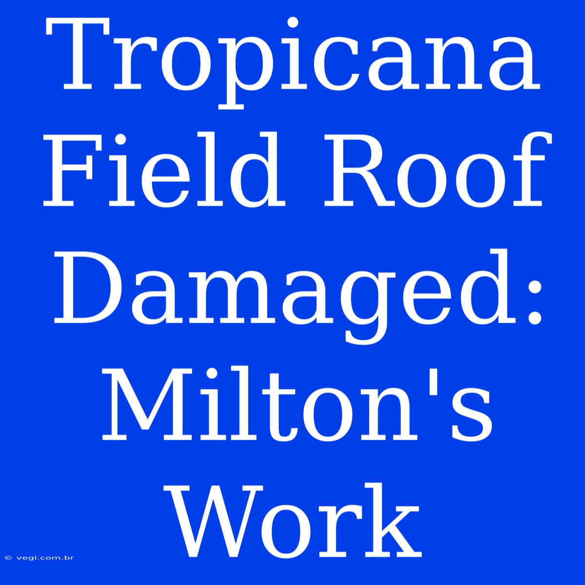 Tropicana Field Roof Damaged: Milton's Work