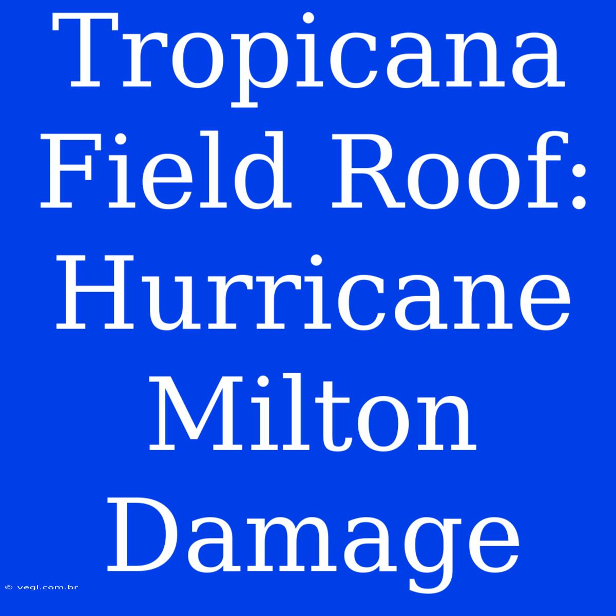 Tropicana Field Roof: Hurricane Milton Damage