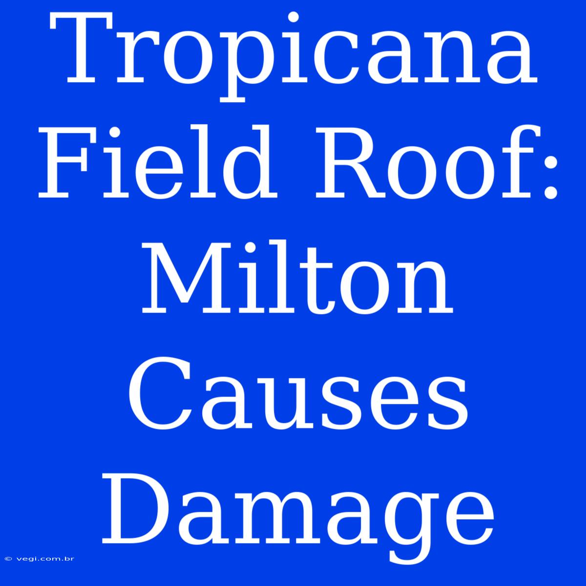 Tropicana Field Roof: Milton Causes Damage