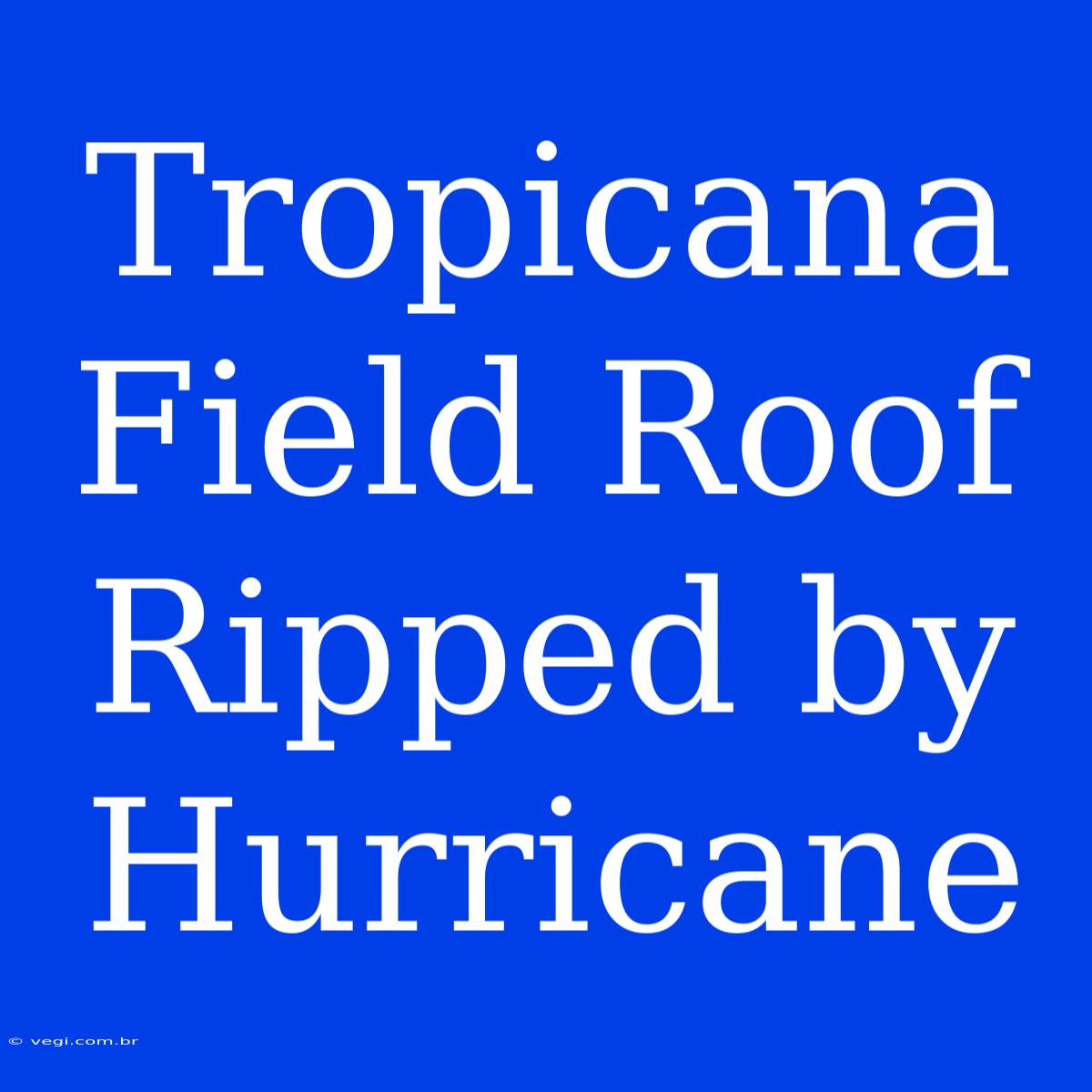 Tropicana Field Roof Ripped By Hurricane