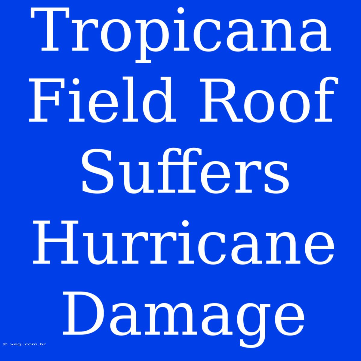 Tropicana Field Roof Suffers Hurricane Damage