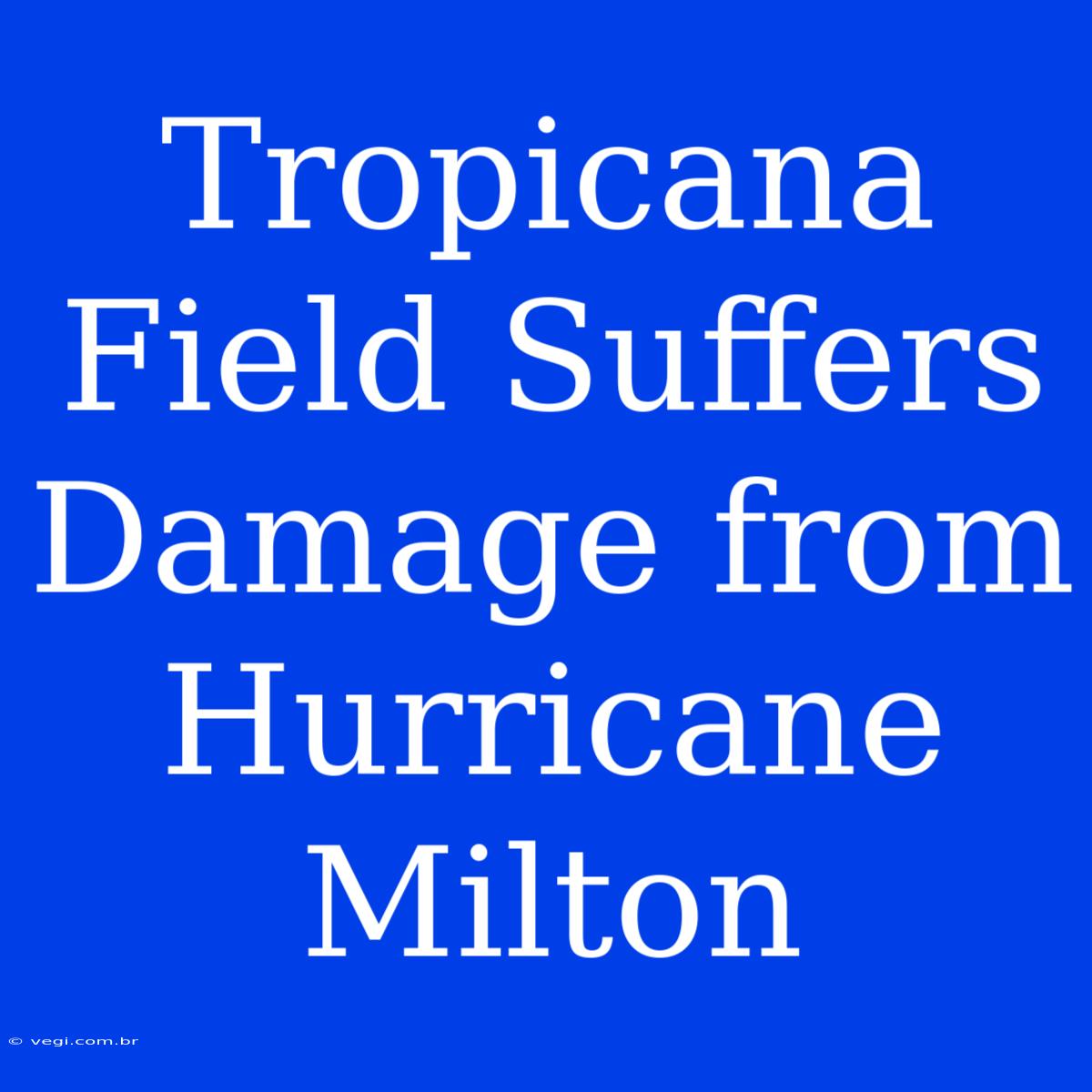 Tropicana Field Suffers Damage From Hurricane Milton