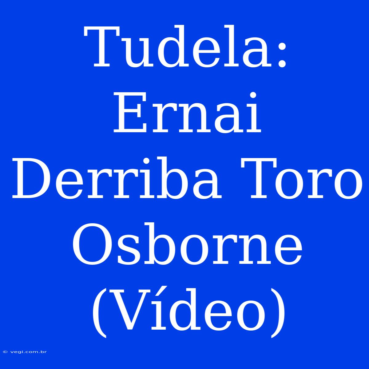 Tudela: Ernai Derriba Toro Osborne (Vídeo)