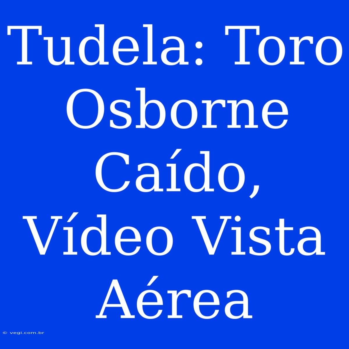 Tudela: Toro Osborne Caído, Vídeo Vista Aérea