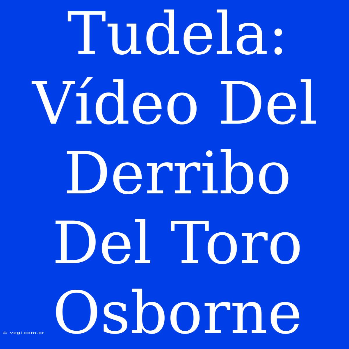 Tudela: Vídeo Del Derribo Del Toro Osborne