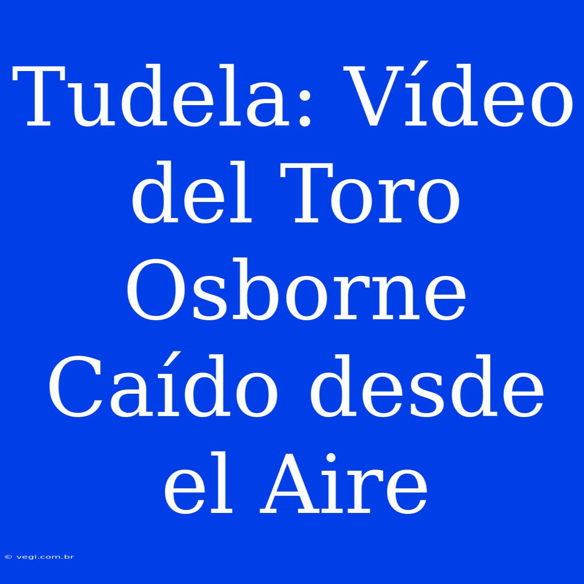 Tudela: Vídeo Del Toro Osborne Caído Desde El Aire