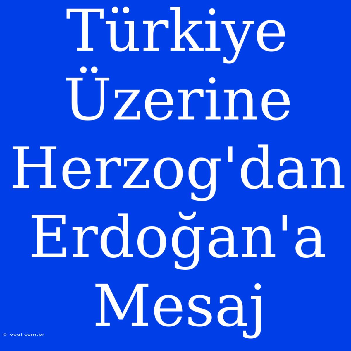 Türkiye Üzerine Herzog'dan Erdoğan'a Mesaj 