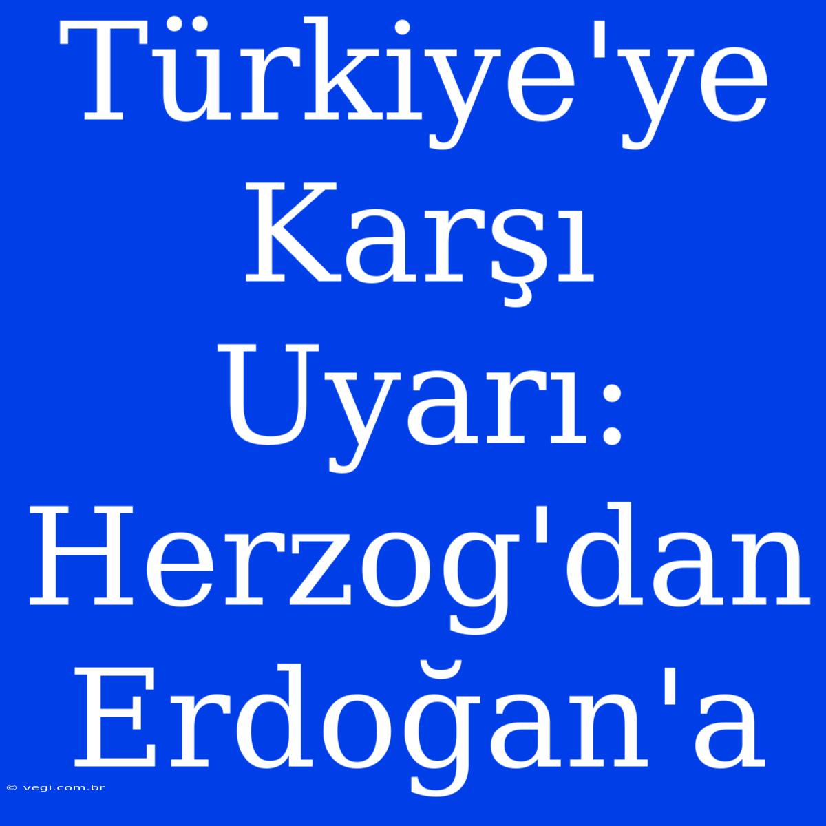 Türkiye'ye Karşı Uyarı: Herzog'dan Erdoğan'a