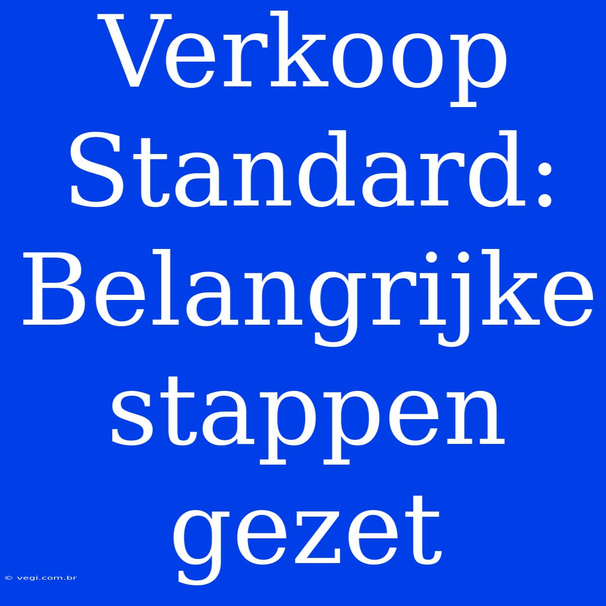 Verkoop Standard: Belangrijke Stappen Gezet