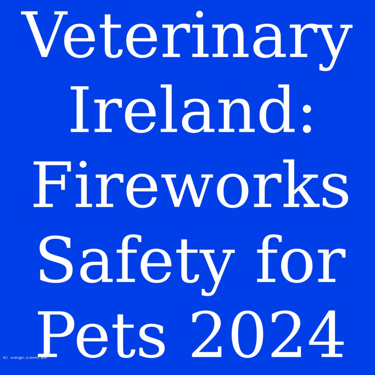 Veterinary Ireland: Fireworks Safety For Pets 2024