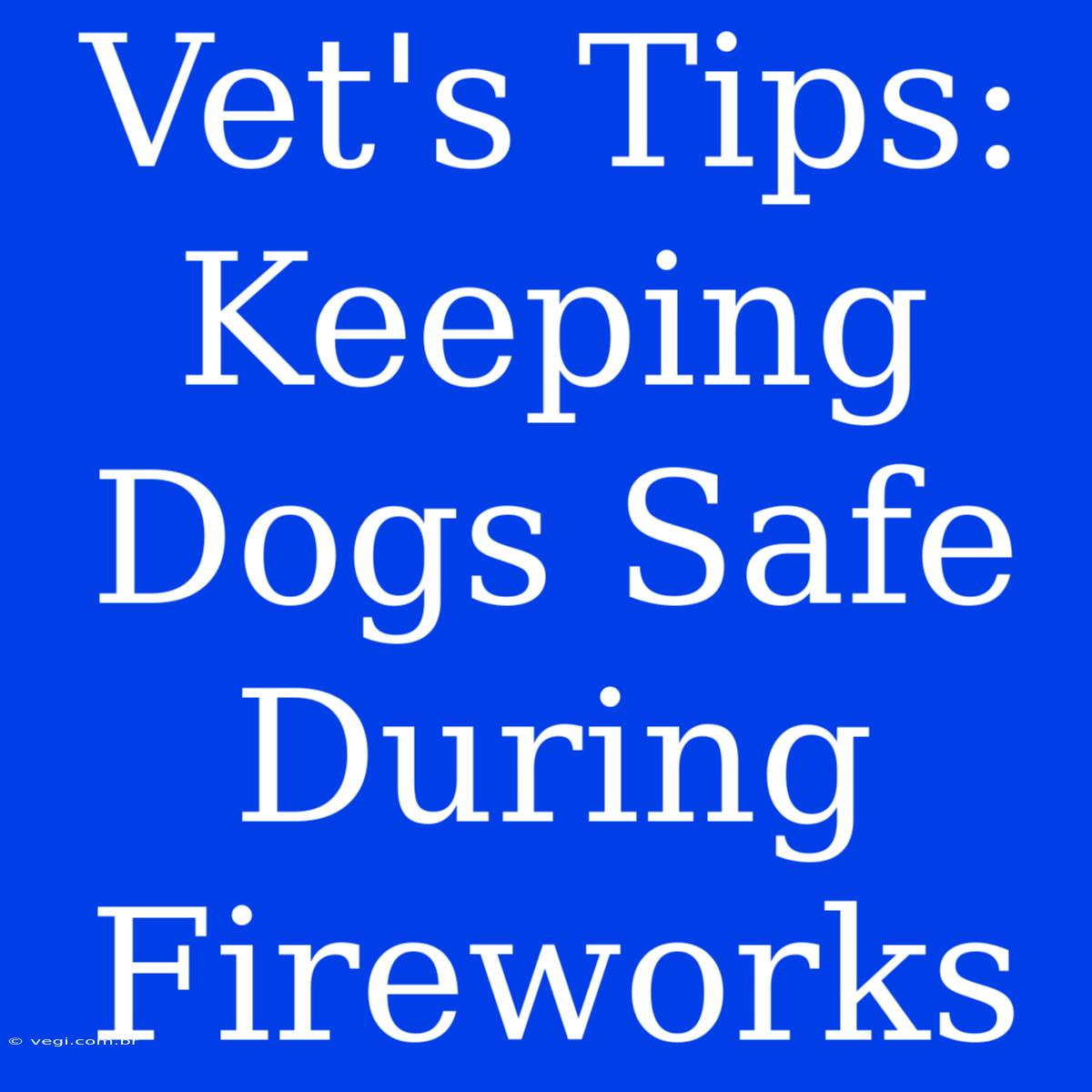 Vet's Tips: Keeping Dogs Safe During Fireworks