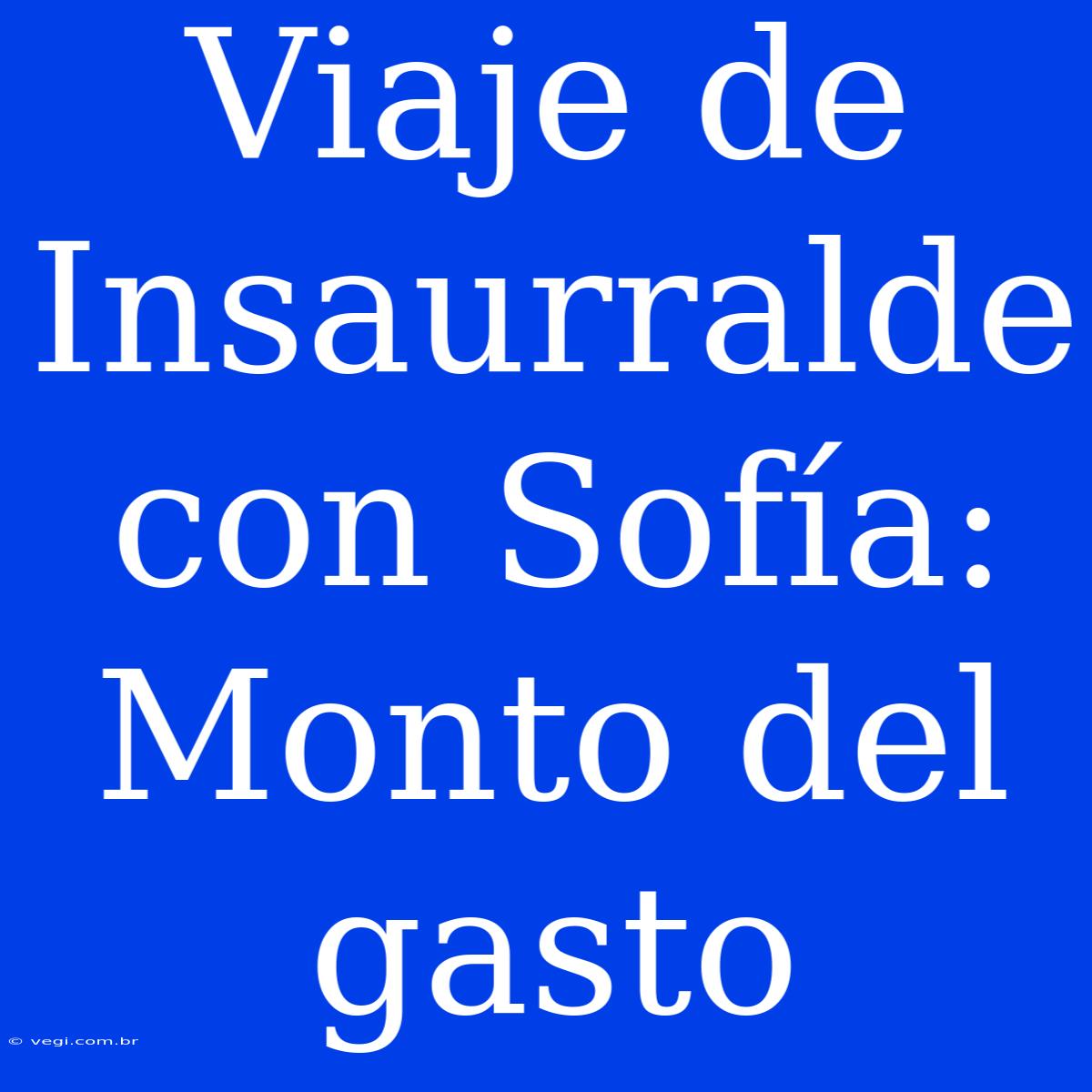 Viaje De Insaurralde Con Sofía: Monto Del Gasto