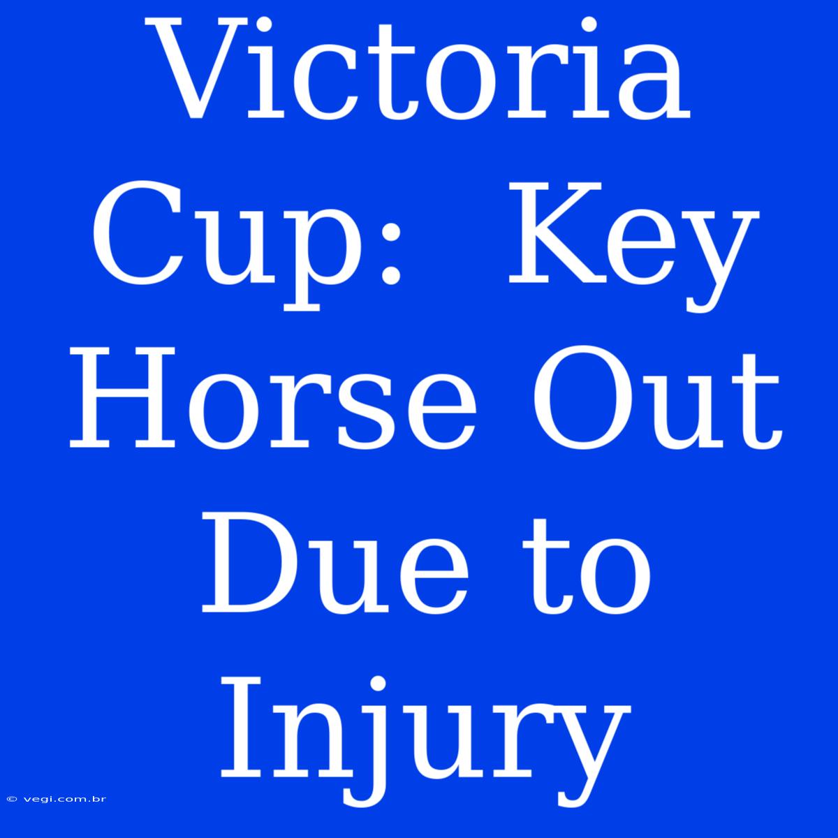 Victoria Cup:  Key Horse Out Due To Injury