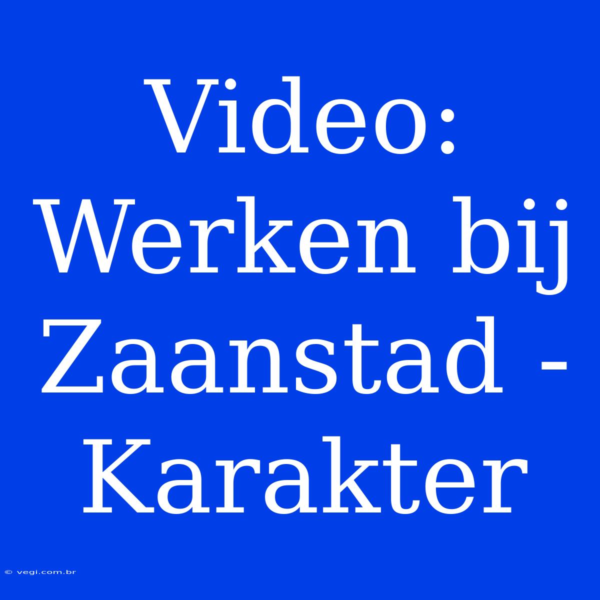 Video: Werken Bij Zaanstad - Karakter