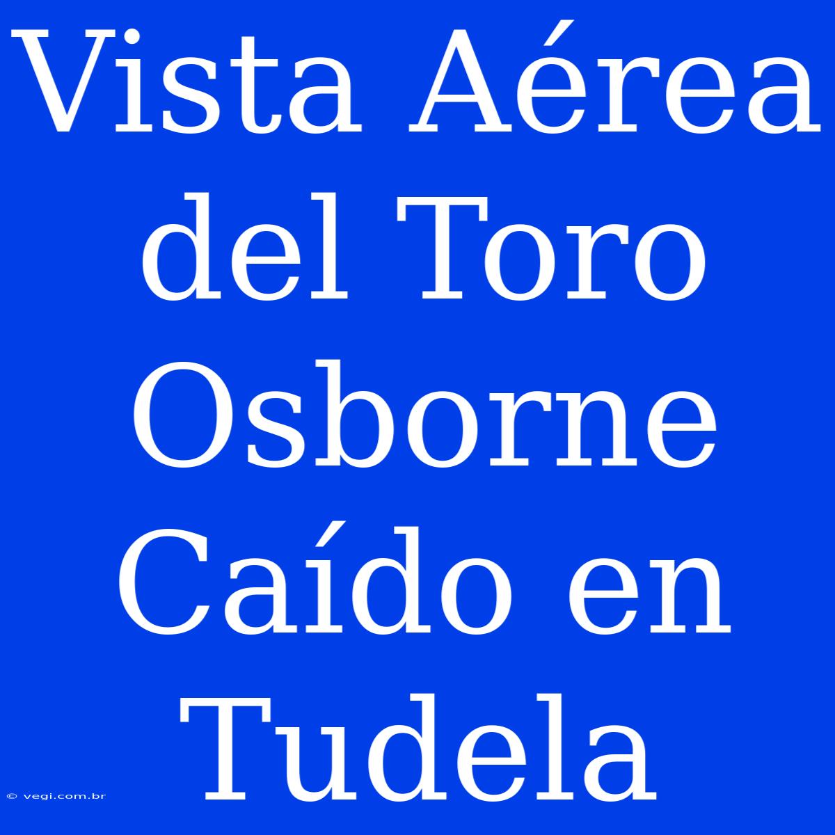 Vista Aérea Del Toro Osborne Caído En Tudela