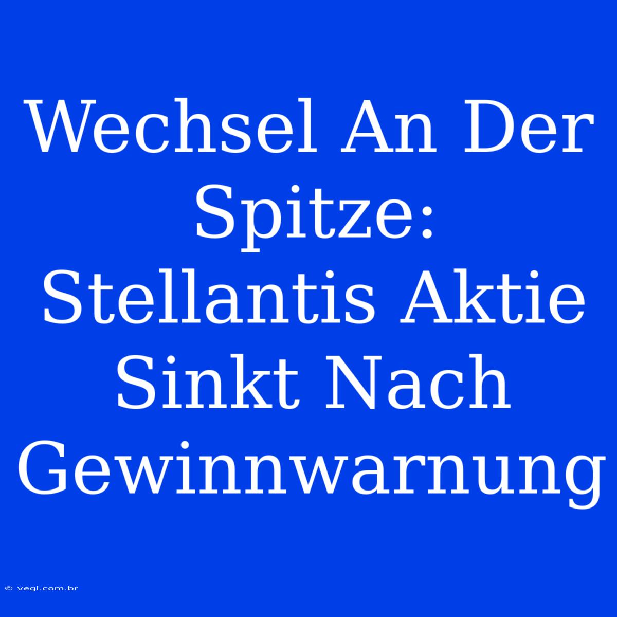 Wechsel An Der Spitze: Stellantis Aktie Sinkt Nach Gewinnwarnung