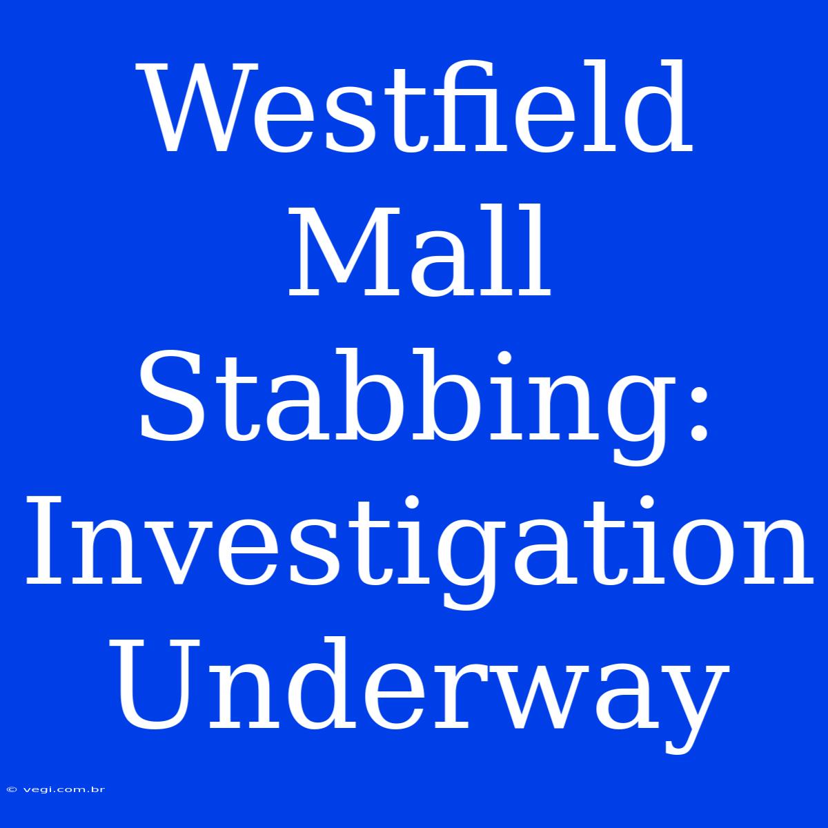 Westfield Mall Stabbing:  Investigation Underway