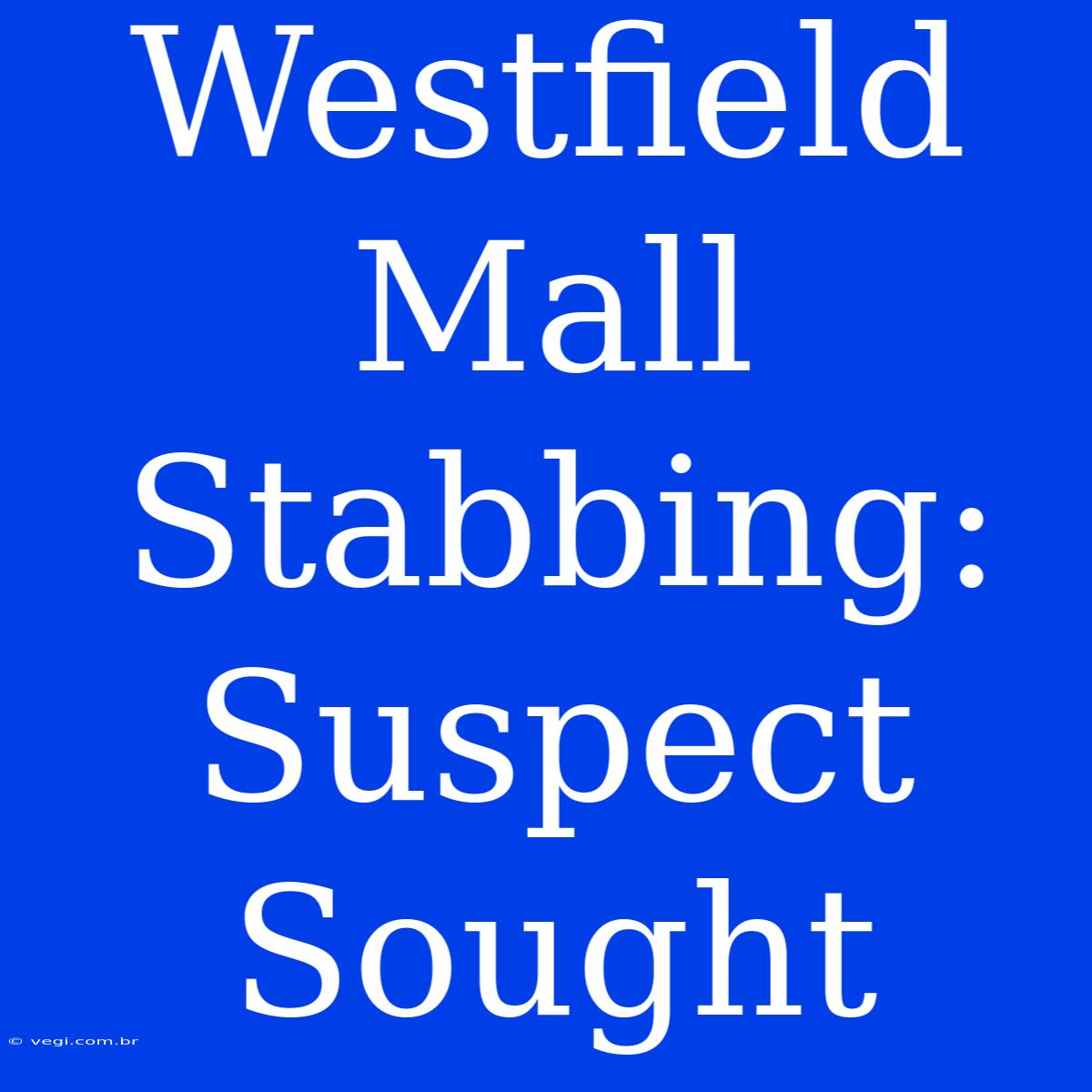 Westfield Mall Stabbing: Suspect Sought