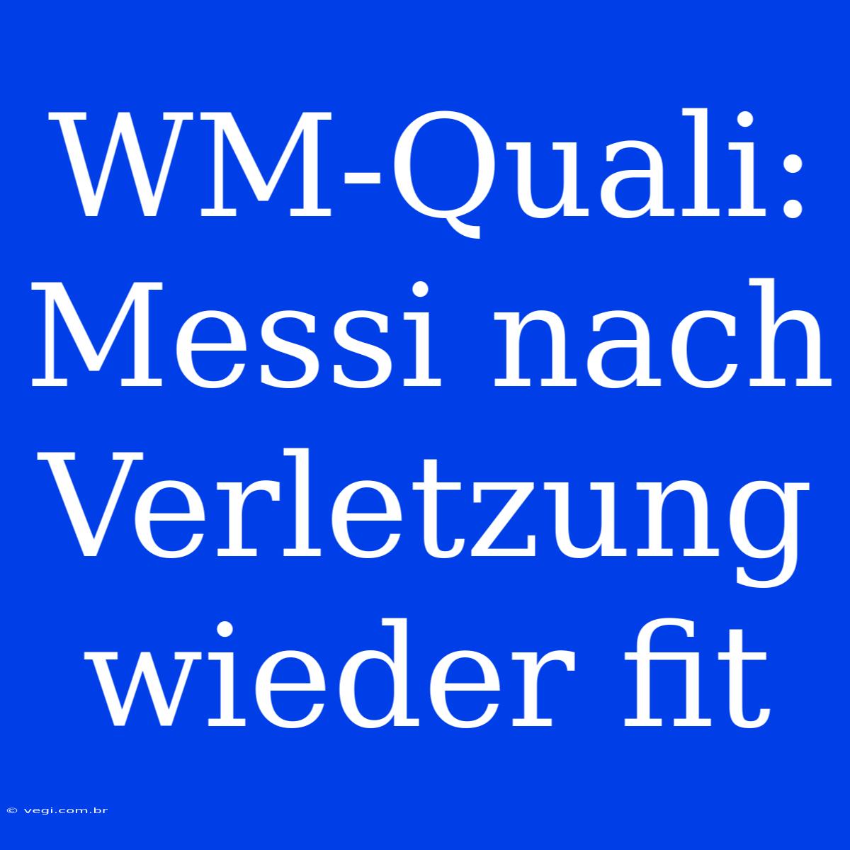 WM-Quali: Messi Nach Verletzung Wieder Fit