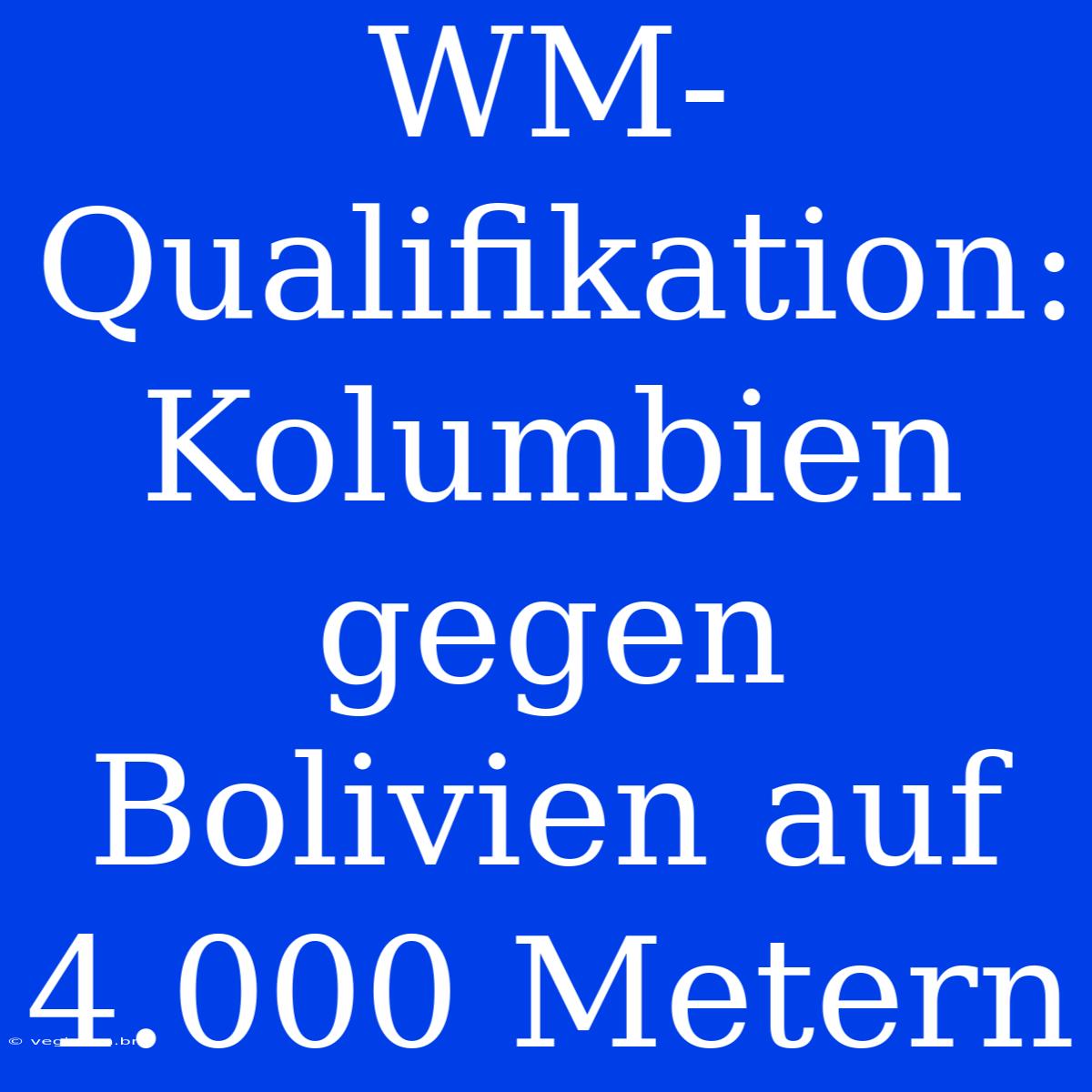 WM-Qualifikation: Kolumbien Gegen Bolivien Auf 4.000 Metern