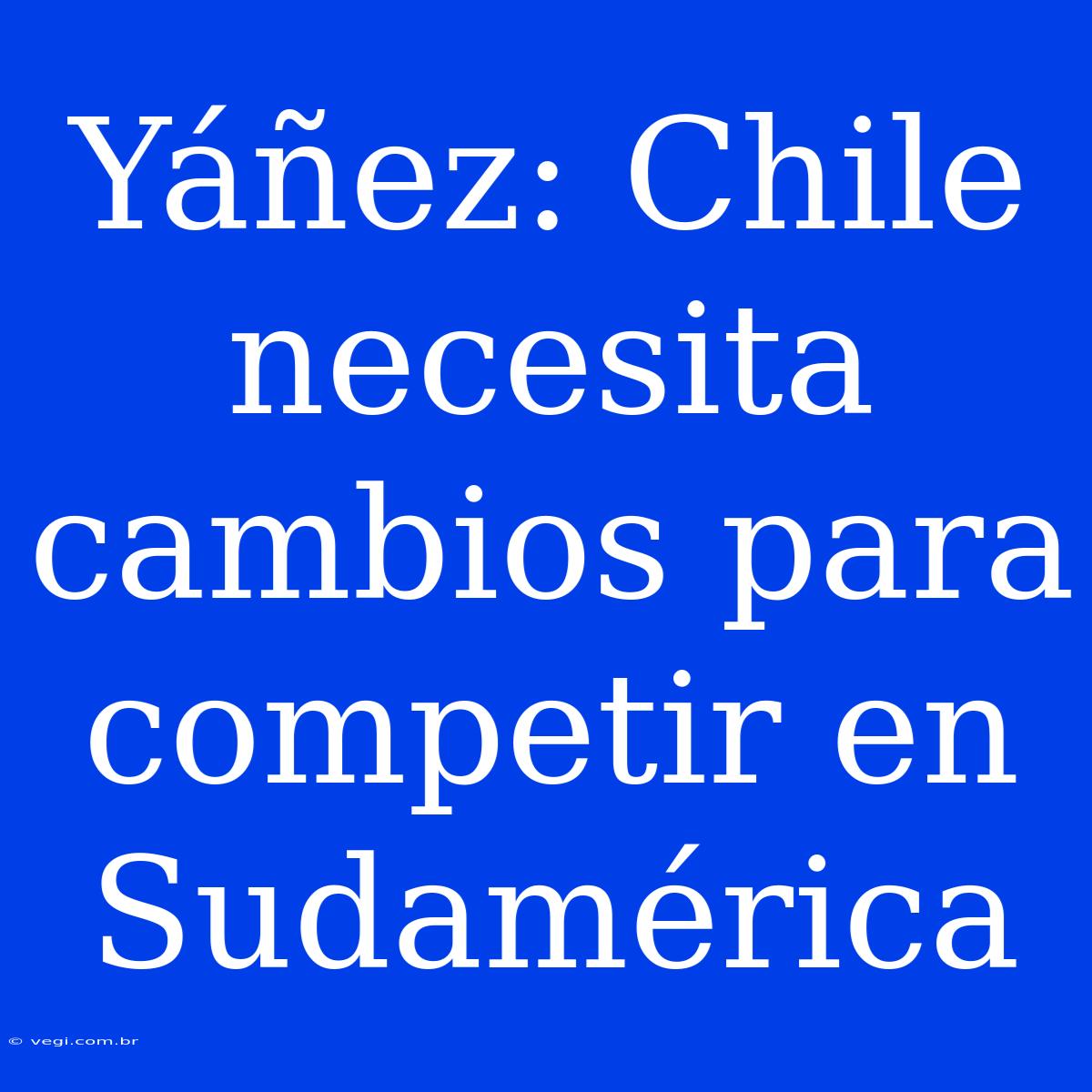 Yáñez: Chile Necesita Cambios Para Competir En Sudamérica