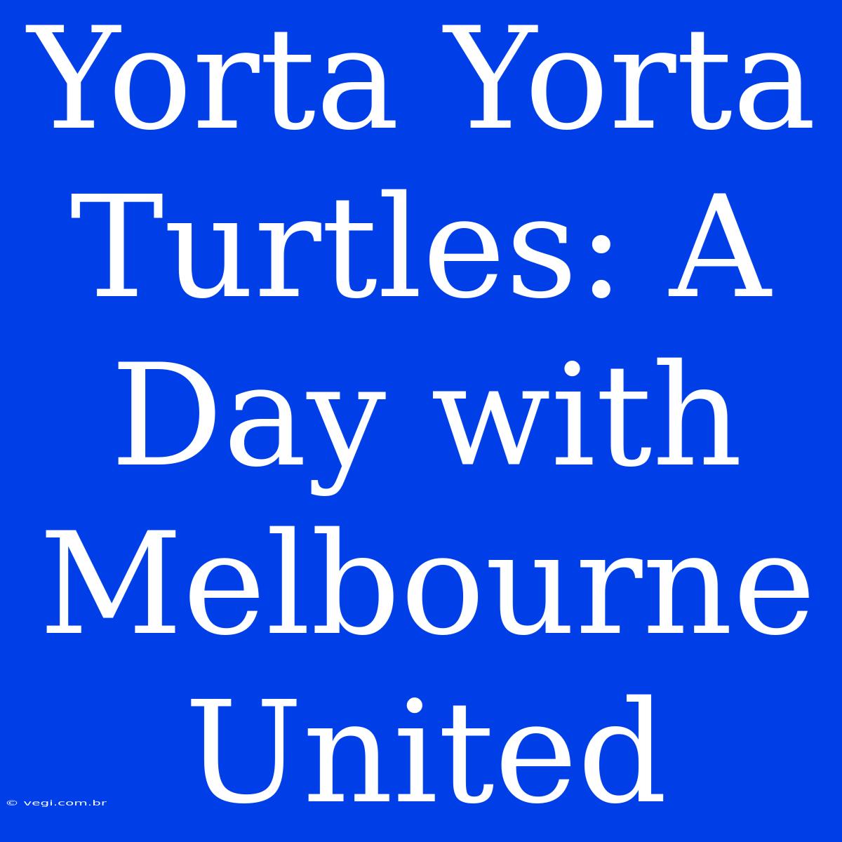 Yorta Yorta Turtles: A Day With Melbourne United