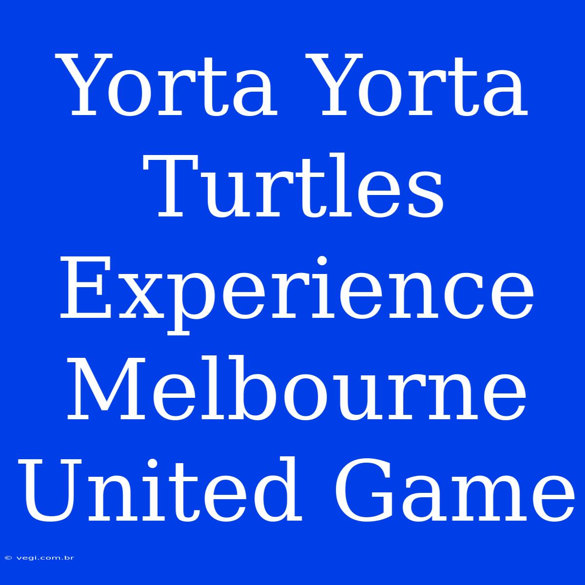 Yorta Yorta Turtles Experience Melbourne United Game