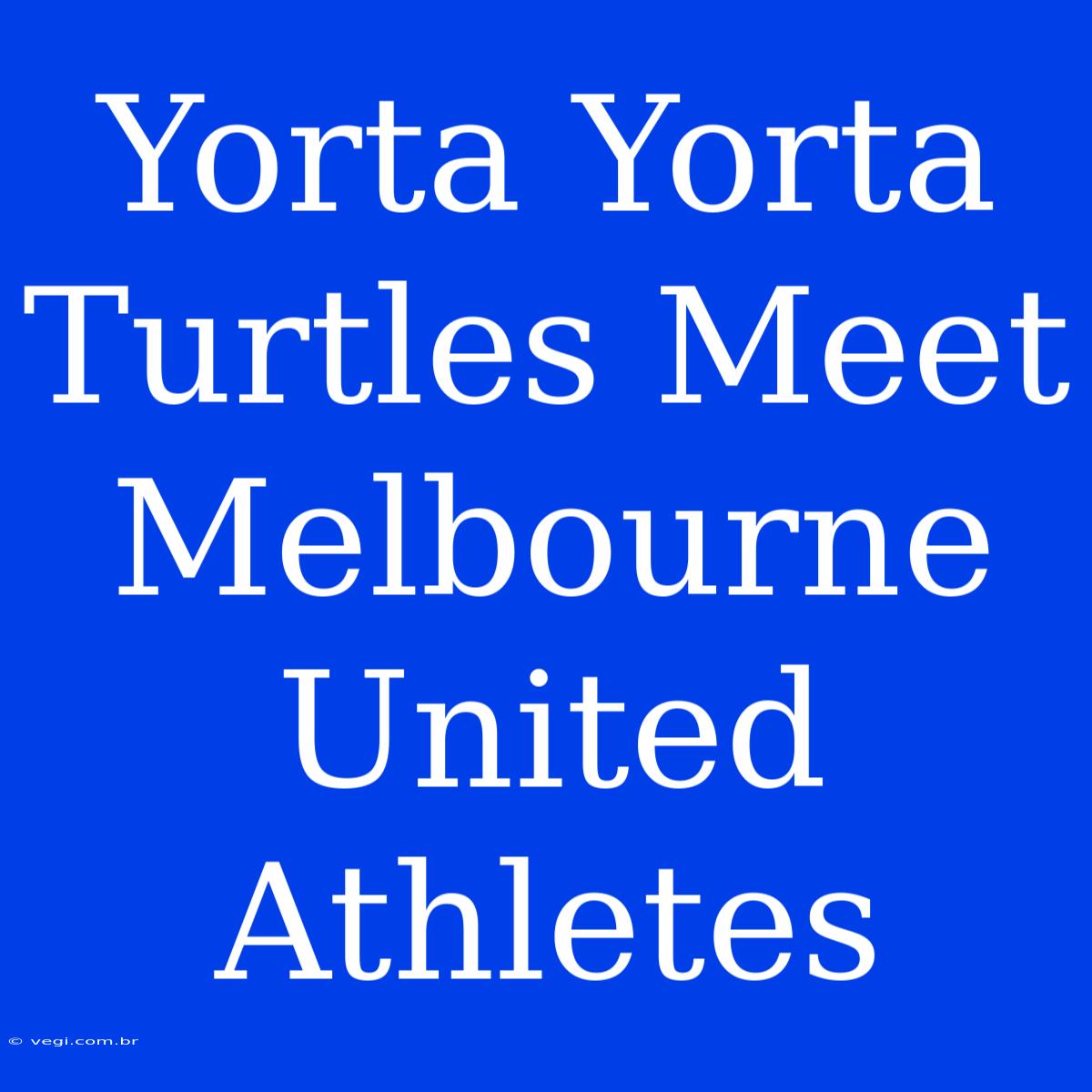 Yorta Yorta Turtles Meet Melbourne United Athletes