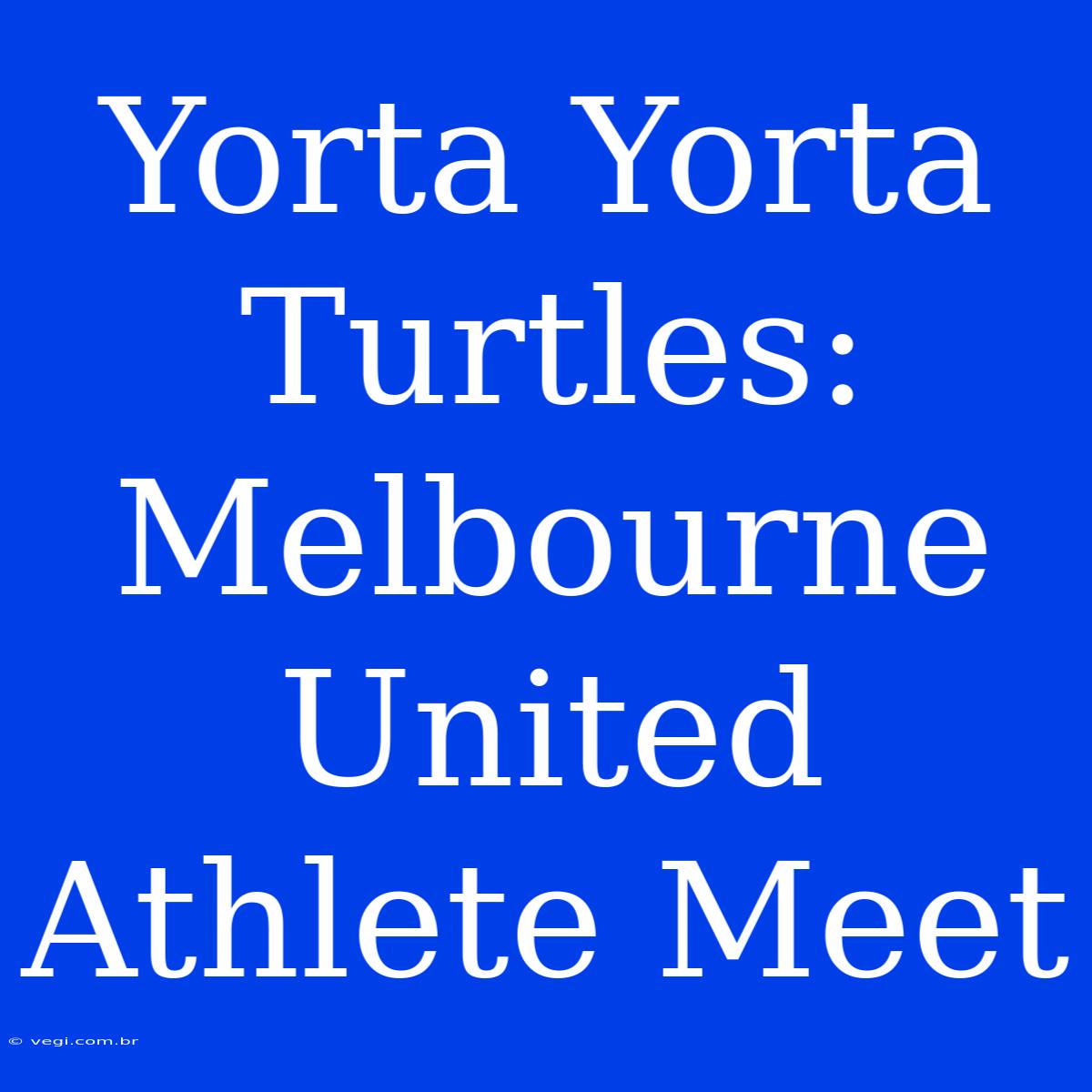 Yorta Yorta Turtles: Melbourne United Athlete Meet 